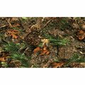 H2H Pine Cones and Autum Leaves Door Mat H22548324